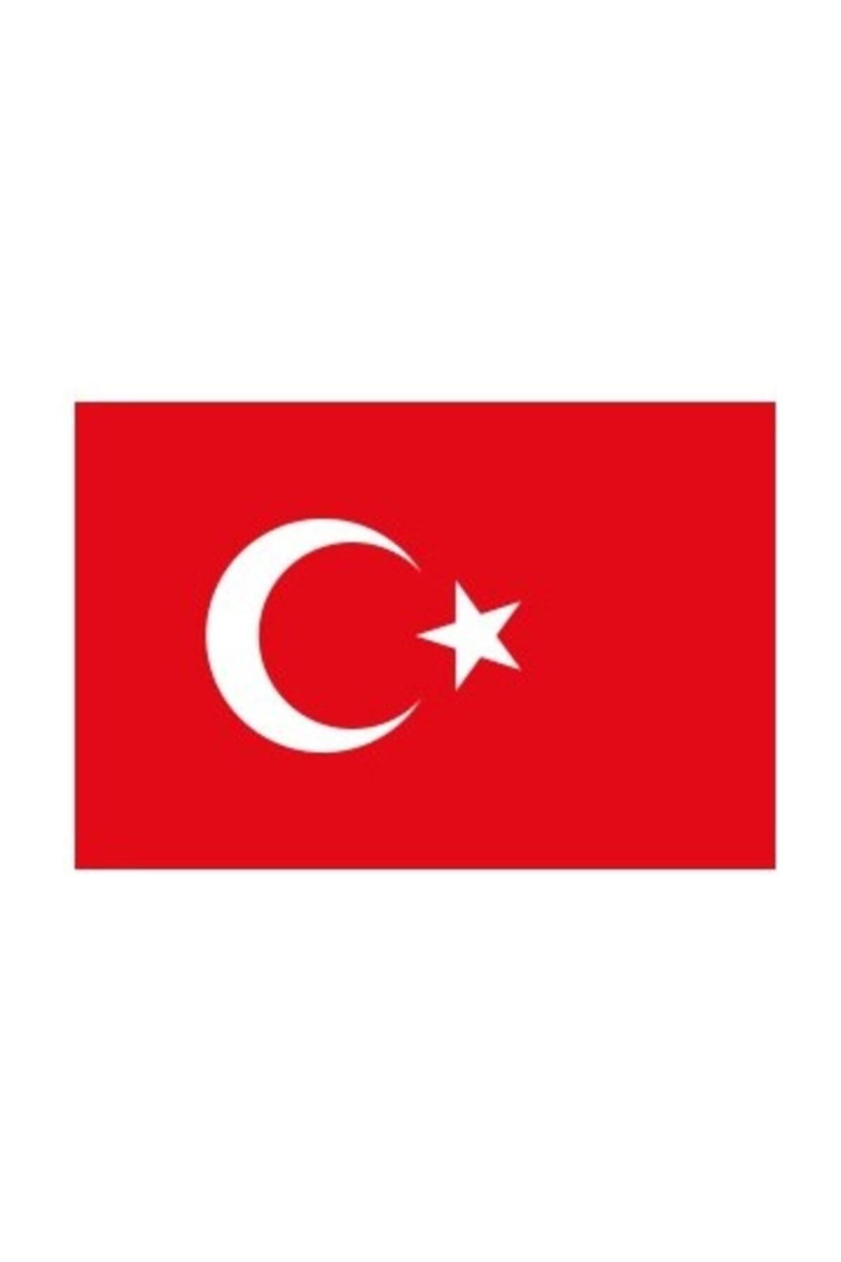 Vatan Türk Bayrağı 30x45 cm