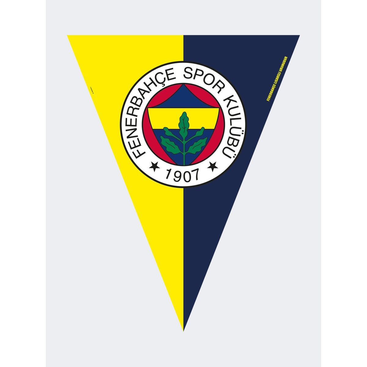 Fenerbahçe Sk Bayrak Set (2,90M)