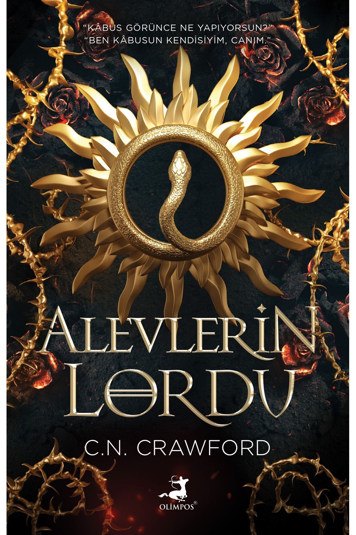 Alevlerin Lordu - Olimpos
indirim