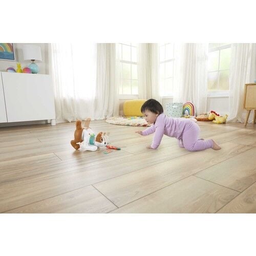 Fısher Prıce Emeklemeyi Ve Saymayı Öğreten Köpekçik