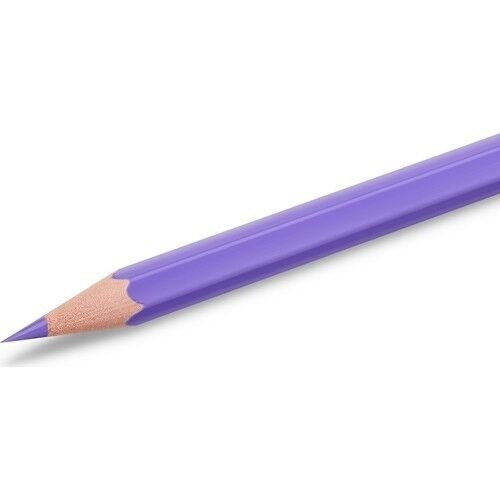 Bic Tropıcolor2 Boya Kalemi 24 Lü