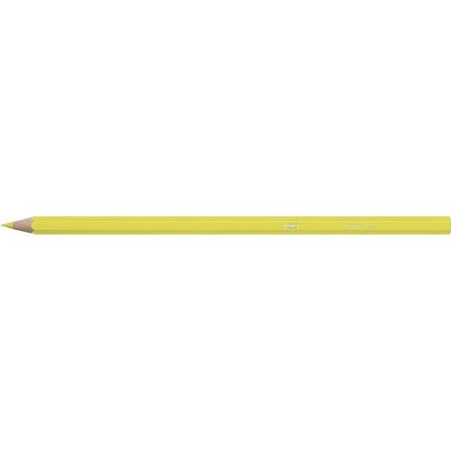 Bic Tropıcolor2 Boya Kalemi 24 Lü