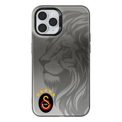 iPhone 11 Pro Uyumlu Galatasaray 5 Yıldız Aslan Premium Lisanslı Telefon Kılıfı