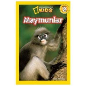 Maymunlar