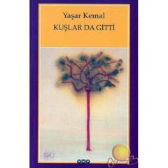 Kuşlar Gitti