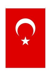 Vatan Türk Bayrağı 30x45 cm
