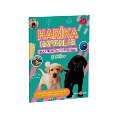 Harika Hayvanlar Şekiller Aktivite Kitabı