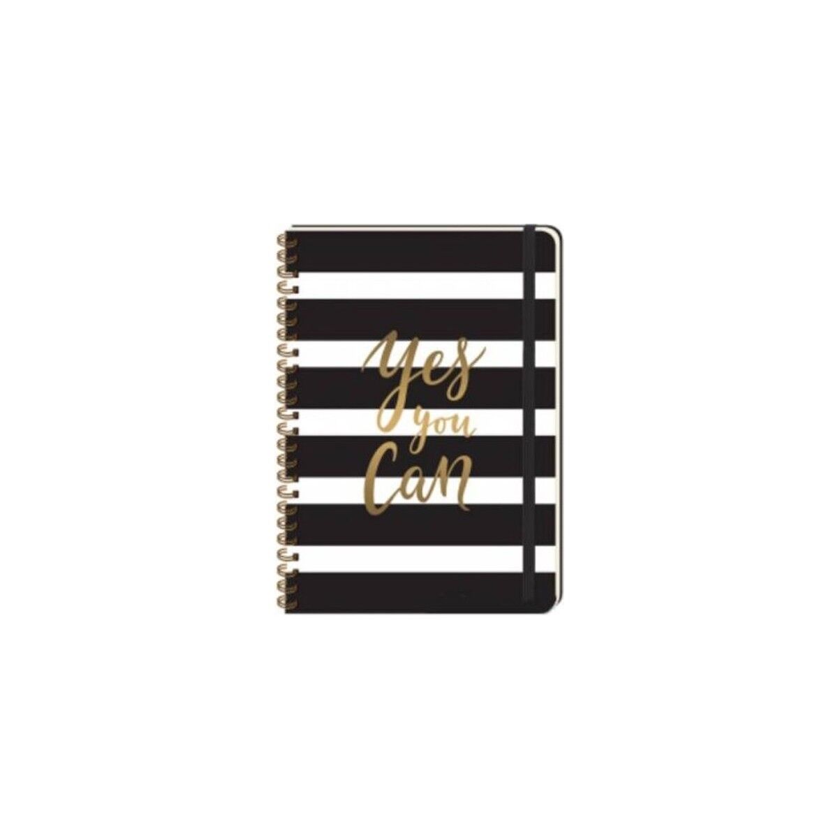 Keskin Color A5 410280-99 Daily Notes Muse Spiralli Sert Kapak Defter