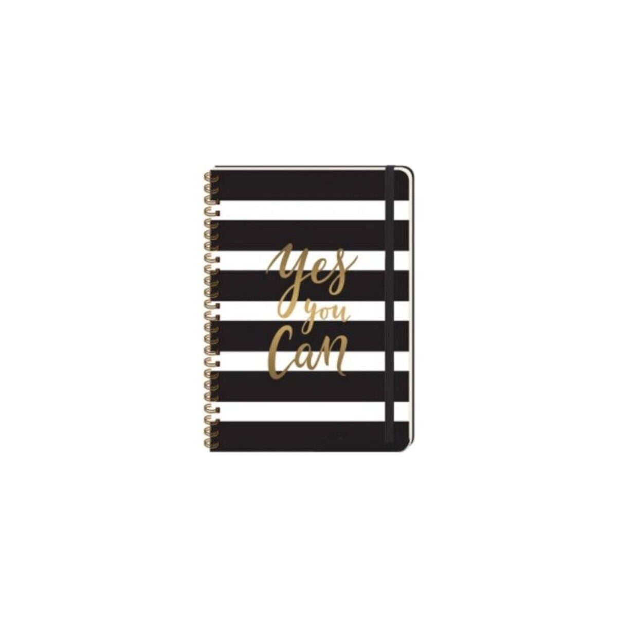 Keskin Color A5 410280-99 Daily Notes Muse Spiralli Sert Kapak Defter