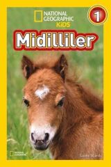 Midilliler