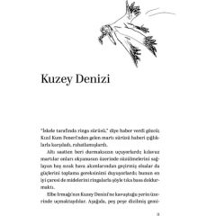 Martıya Uçmayı Öğreten Kedi