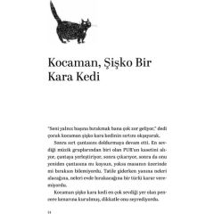 Martıya Uçmayı Öğreten Kedi