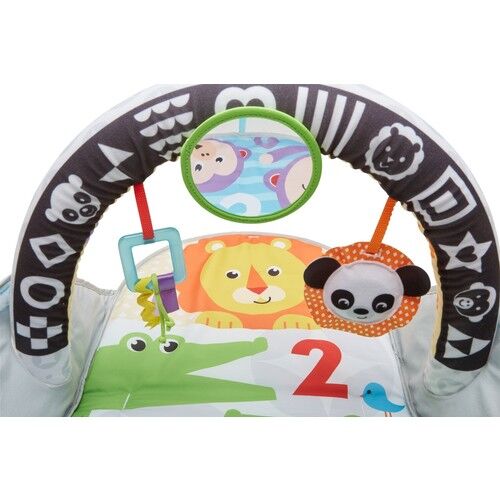 Mtl Fp Orman Arkadaşları Jimnastik Merkezi