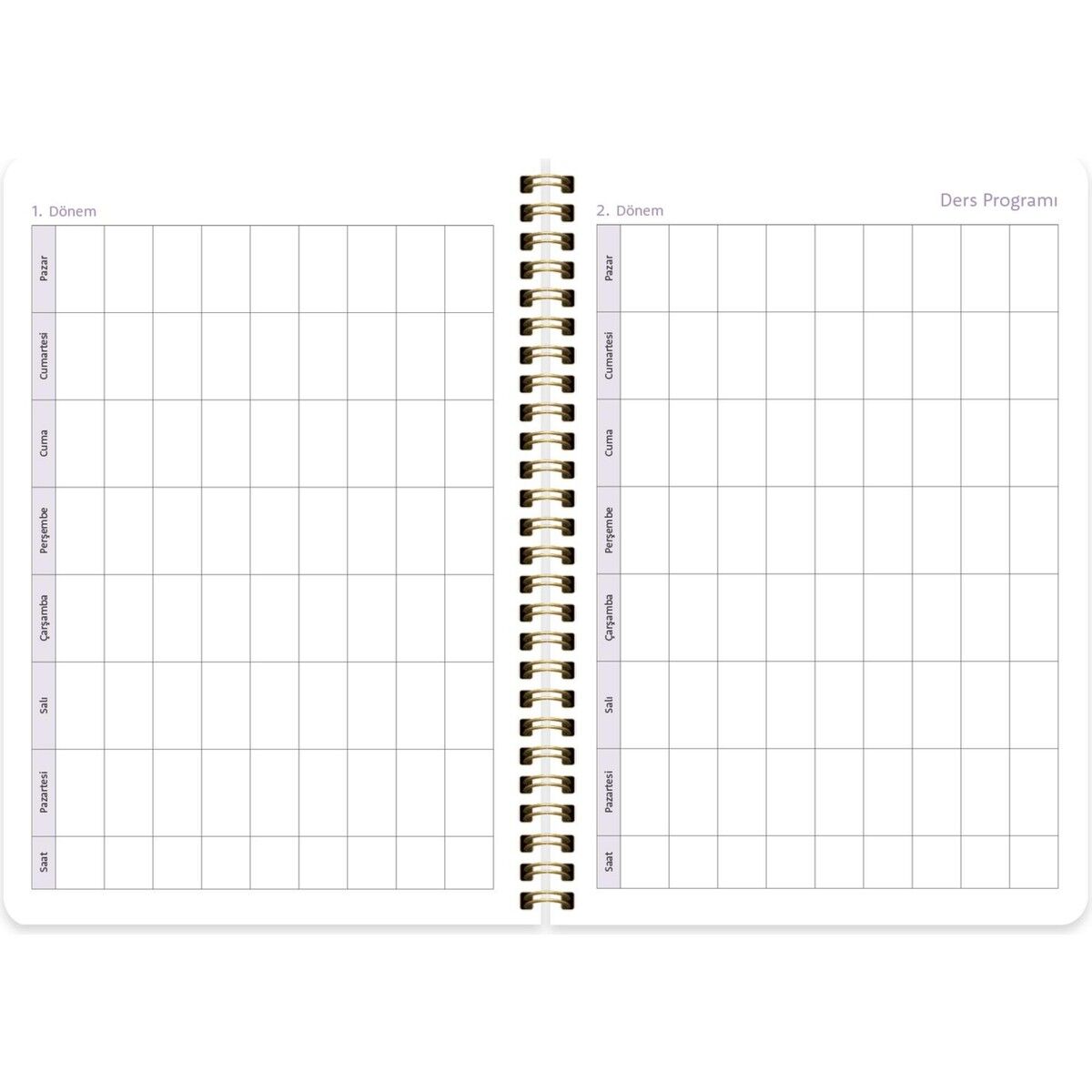 Keskin Color Akademik Ajanda Spiralli Enerji 17x24 830228-99