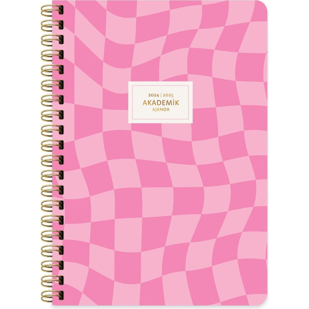 Keskin Color Akademik Ajanda Spiralli Dama 17x24 830225-99