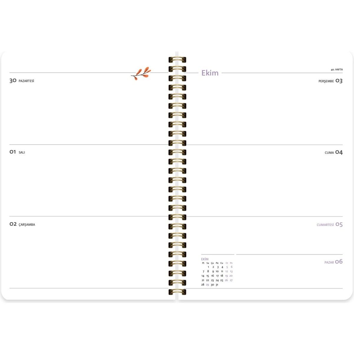 Keskin Color Akademik Ajanda Spiralli Dama 17x24 830225-99