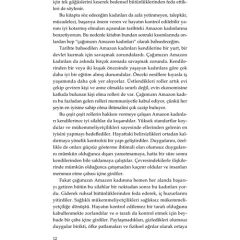 Amazon Kadınlarına Iç Huzur Sağlama Rehberi - Aslıhan Dönmez