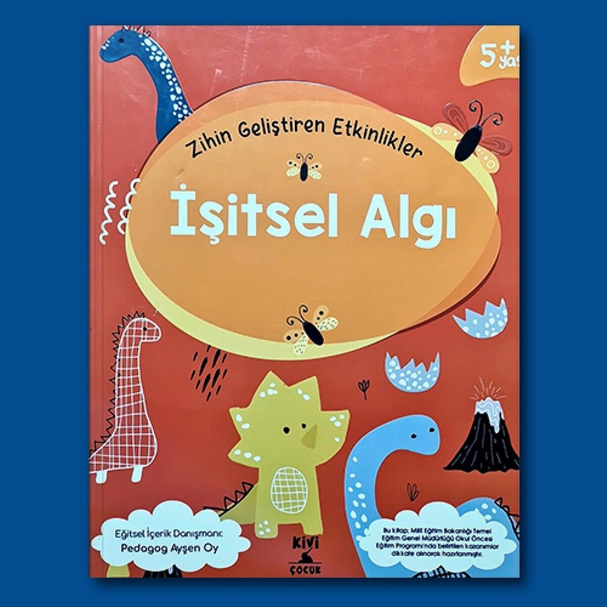 Zihin Geliştiren Etkinlikler-İşitsel Algı