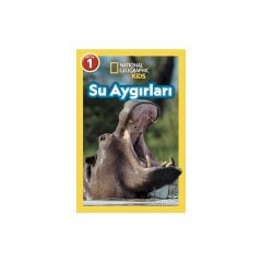 Su Aygırları