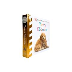 Bebek Dokun Ve Hisset Yavru Köpekler