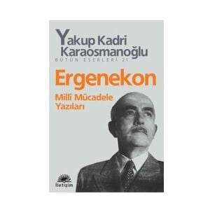 Ergenekon: Milli Mücadele Yazıları