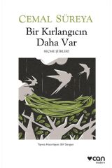 Bir Kırlangıcın Daha Var