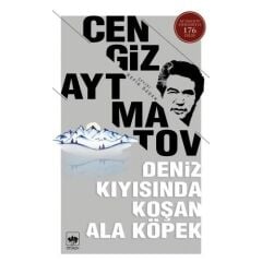 Deniz Kıyısında Koşan Ala Köpek