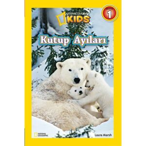 Kutup Ayıları