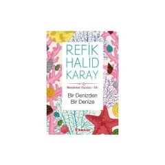 Memleket Yazıları 10 - Bir Denizden Bir Denize