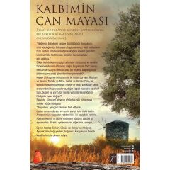 Kalbimin Can Mayası