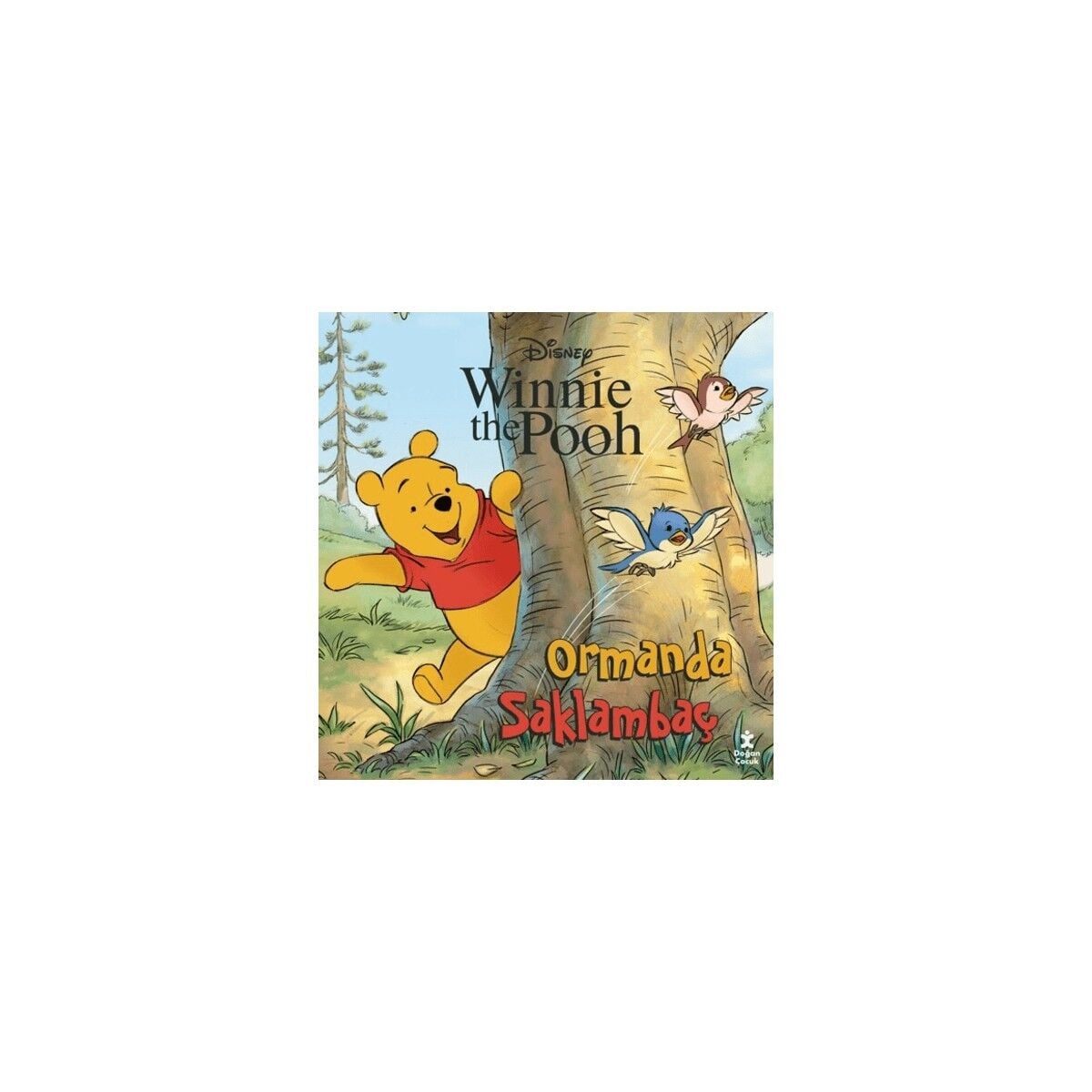 Winnie The Pooh - Ormanda Saklambaç