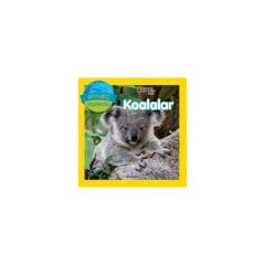 Koalalar National Geographic Kids