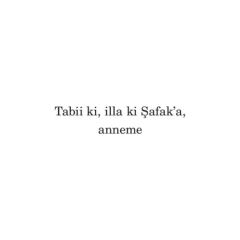 Bit Palas E. Şafak