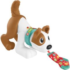 Fısher Prıce Emeklemeyi Ve Saymayı Öğreten Köpekçik