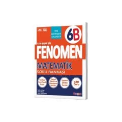 Fenomen 6 Matematik S.B.