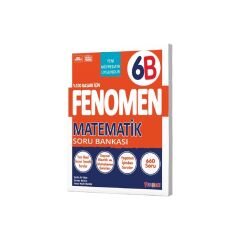 Fenomen 6 Matematik S.B.