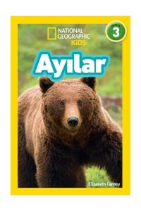 Ayılar