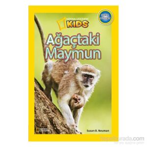 Ağaçtaki Maymun