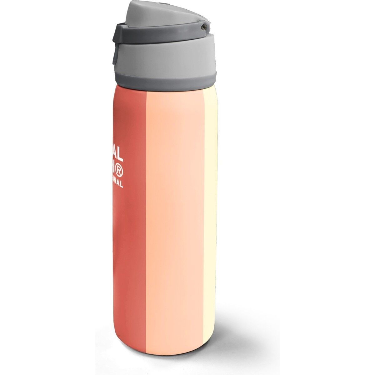 Coral High Kids Renkli Çizgili Desenli Pipetli ve Direkt Içim Çelik Termos 800 ml 38540