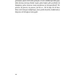 Temmuz Çocukları