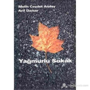 Yağmurlu Sokak/m.C.Anday/everest